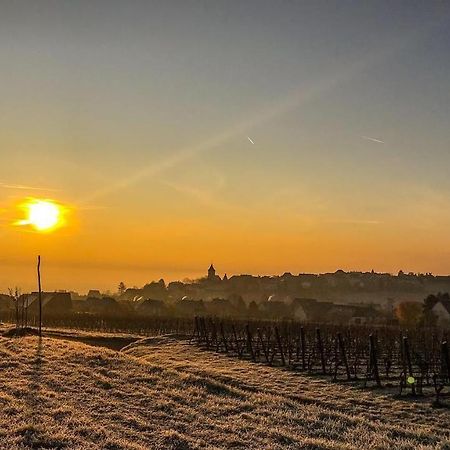 Le Vent D'Ange Villa Zellenberg Exteriör bild